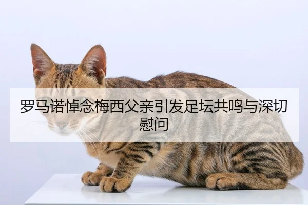 罗马诺悼念梅西父亲引发足坛共鸣与深切慰问